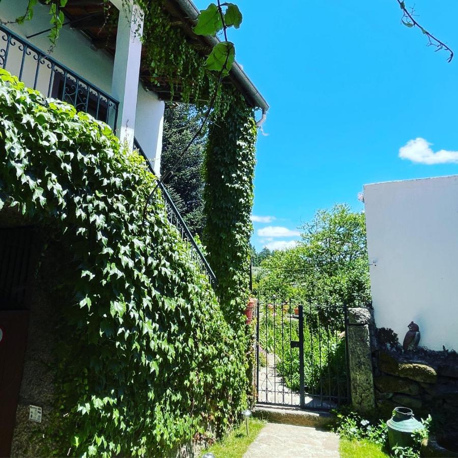 Casa Do Beco B&B Douro - Guest House Parambos Extérieur photo
